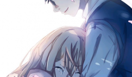 博人传樱花动漫,樱花绽放的忍者传奇